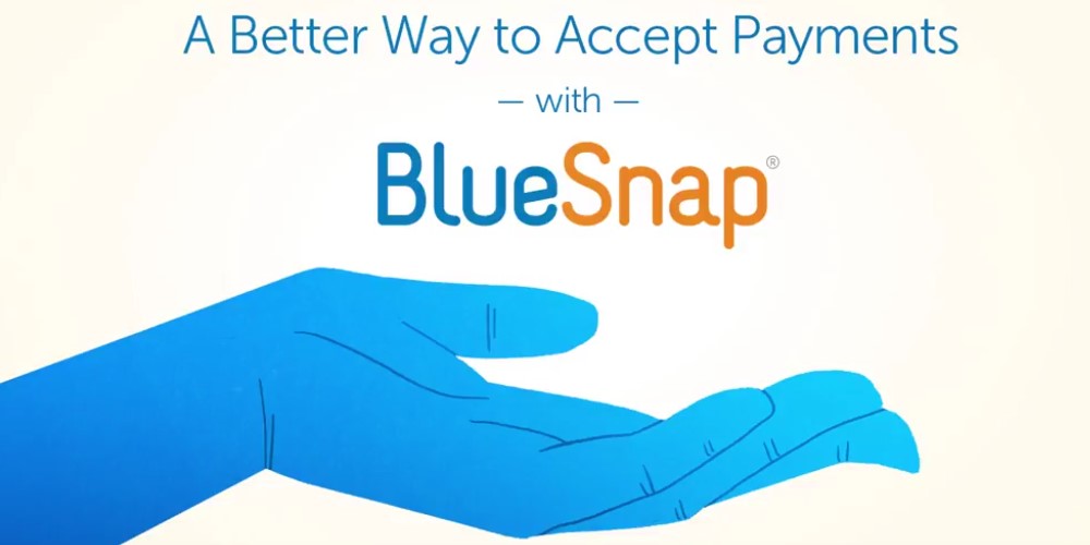 Bluesnap Pay