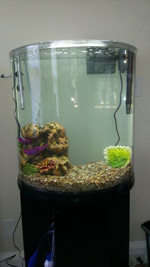 30 gallon fish tank