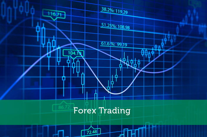 best forex trading