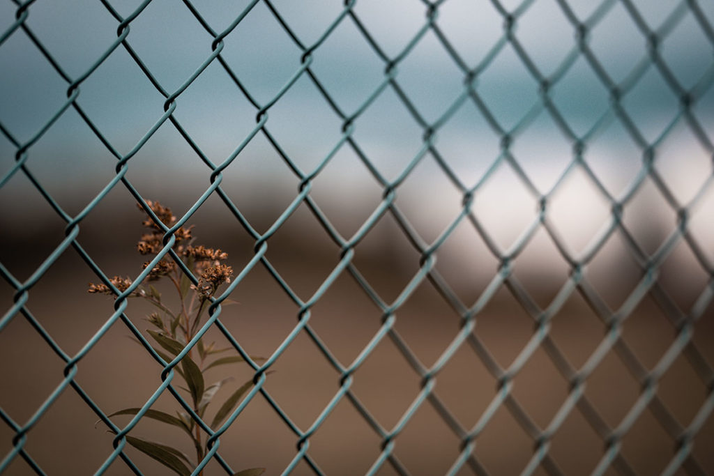 Chain Link Fence