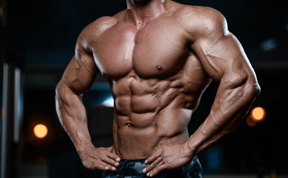 best muscle building supplements