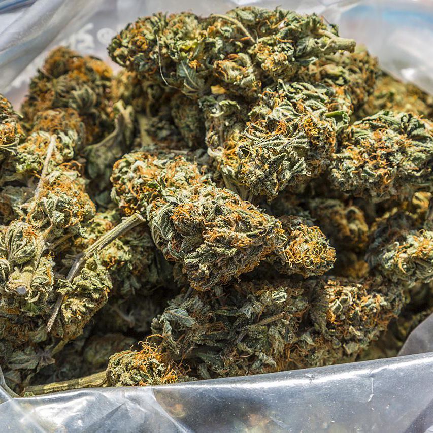 Pacific Greens