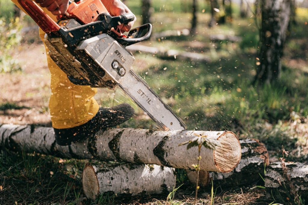 Tree Care Services